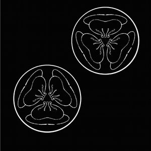 欧美综合偷窥图
