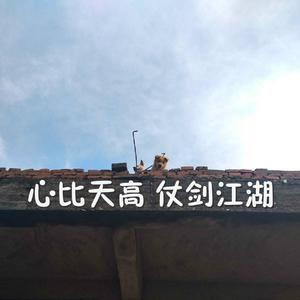 欧美综合偷窥图
